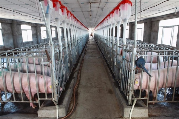 空氣能養(yǎng)殖熱泵的耐用性如何