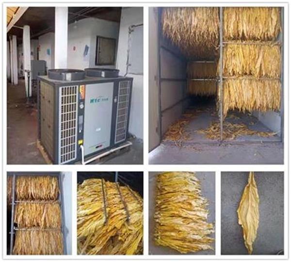 使用煙草專用烘干熱泵有什么優勢呢？