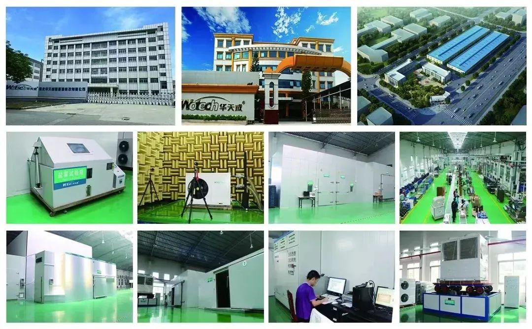 又放大招——華天成 “365天”直播不停歇！