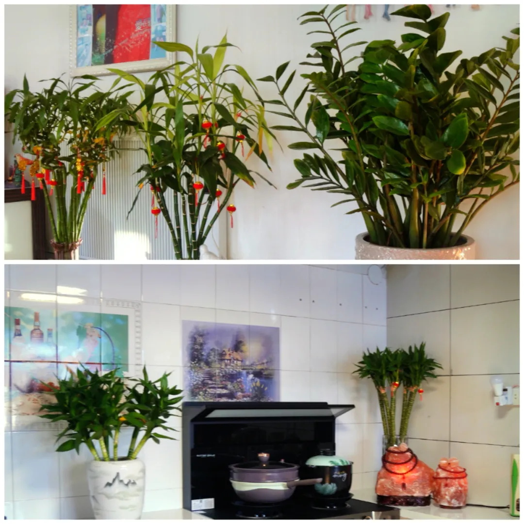 邊陲漠河——極寒守護者！